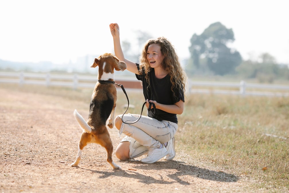 Excited woman teaching dog to beg